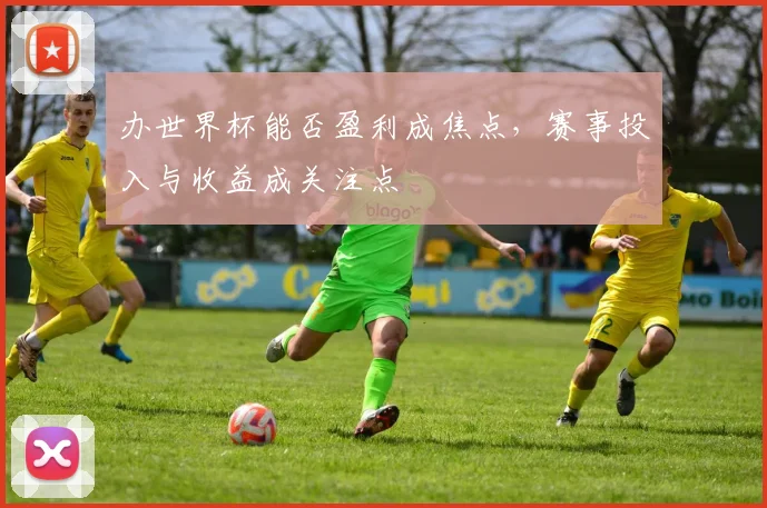 办世界杯能否盈利成焦点,赛事投入与收益成关注点