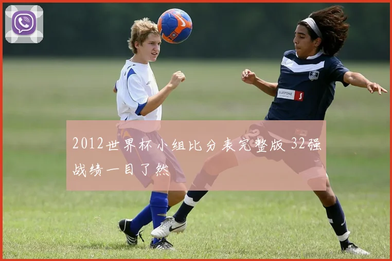 2012世界杯小组比分表完整版 32强战绩一目了然