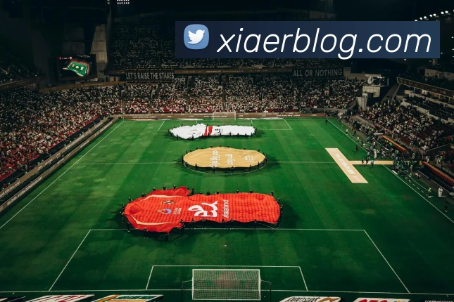 世界杯官网平台平台生态图